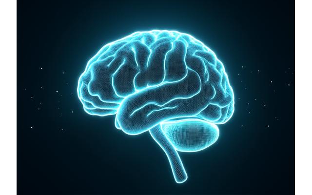 Visualización de un cerebro humano mostrando actividad neuronal y conexiones, con data overlay, simbolizando investigación científica de mindfulness.