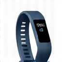 Logo de Fitbit